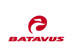 Batavus E-bike